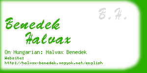 benedek halvax business card